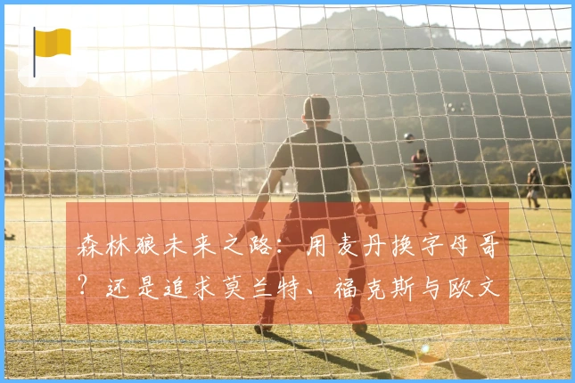 森林狼未来之路：用麦丹换字母哥？还是追求莫兰特、福克斯与欧文再争冠？