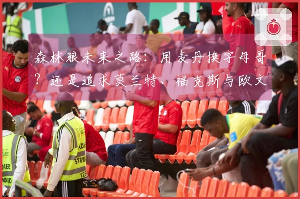 森林狼未来之路：用麦丹换字母哥？还是追求莫兰特、福克斯与欧文再争冠？
